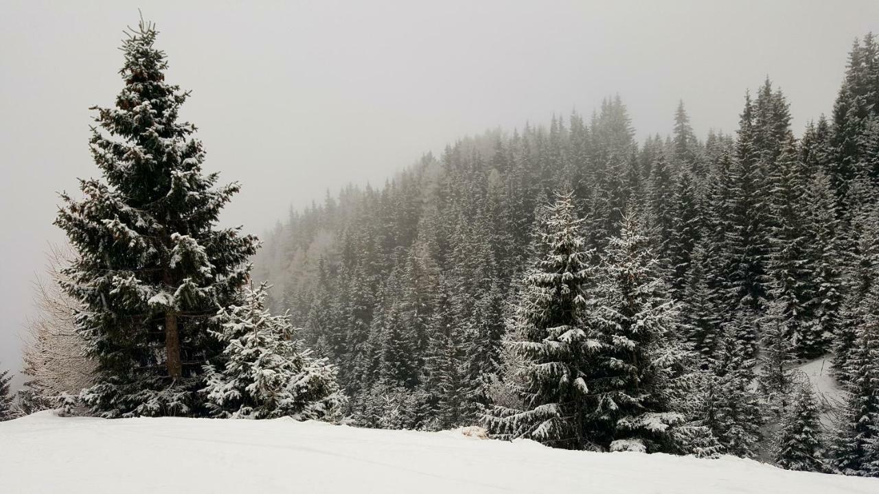 Ripsime Colina Marei Apartamento Sinaia Exterior foto