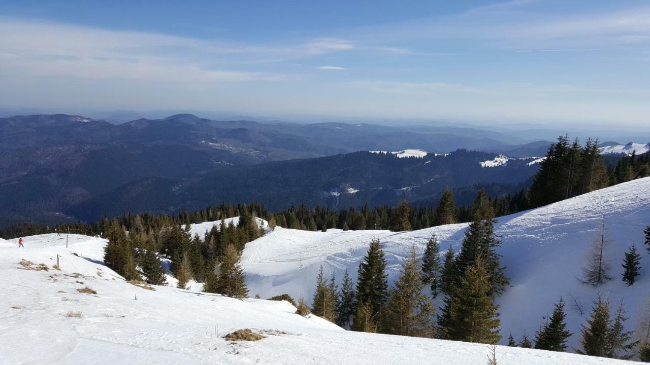 Ripsime Colina Marei Apartamento Sinaia Exterior foto