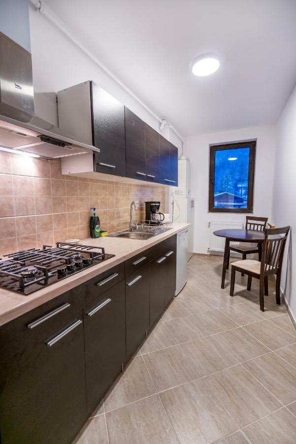 Ripsime Colina Marei Apartamento Sinaia Exterior foto